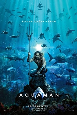 Seri Filmler