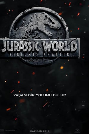 Seri Filmler