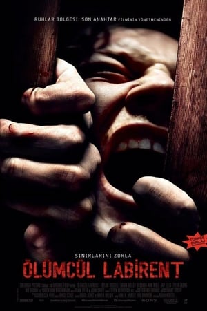 Ölümcül Labirent izle
