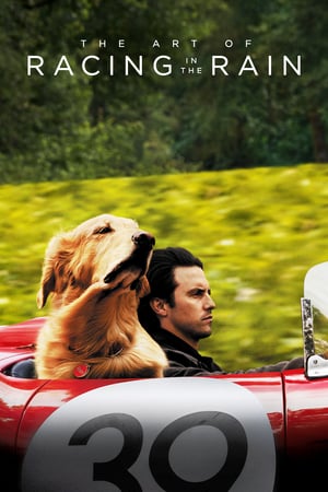 Enzo Yağmurda Yarış Sanatı izle