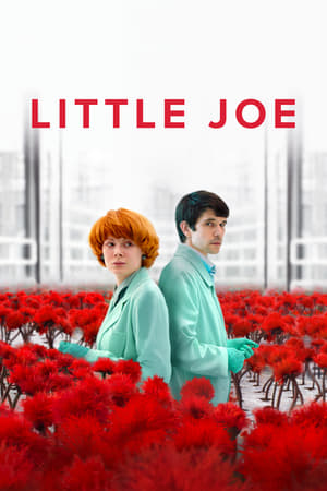 Küçük Joe izle