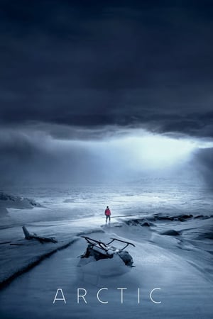 Arctic izle