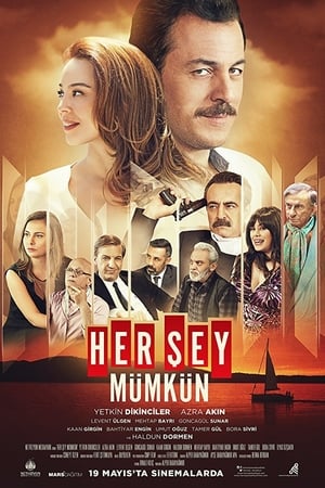 Her Şey Mümkün izle