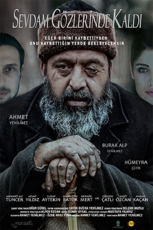 Sevdam Gözlerinde Kaldı izle