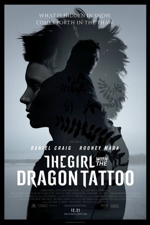Ejderha Dövmeli Kız 2 izle