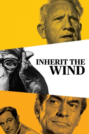 Rüzgârın Mirası izle