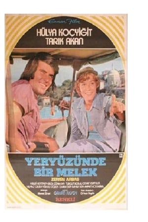 Yeryüzünde Bir Melek izle
