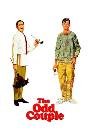 Garip Bir Çift izle