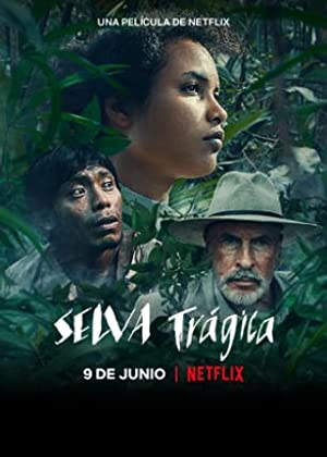 Trajik Orman izle