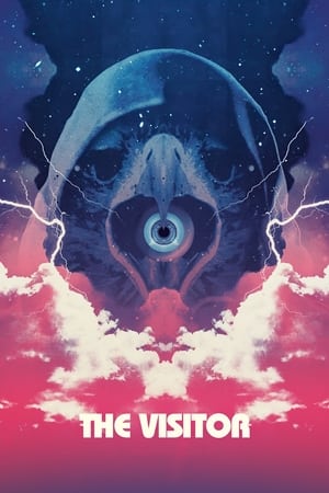 Ziyaretçi izle