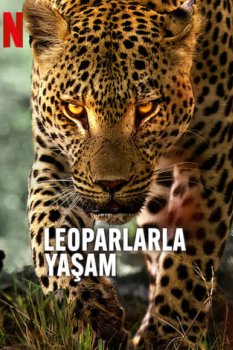 Leoparlarla Yaşam izle