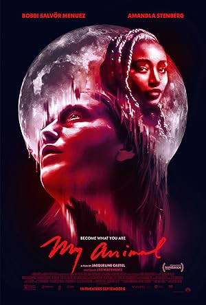 İçimdeki Hayvan izle