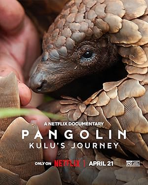 Pangolin: Kulu’nun Yolculuğu izle