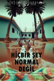Hiçbir Şey Normal Değil izle