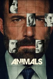 Animals izle