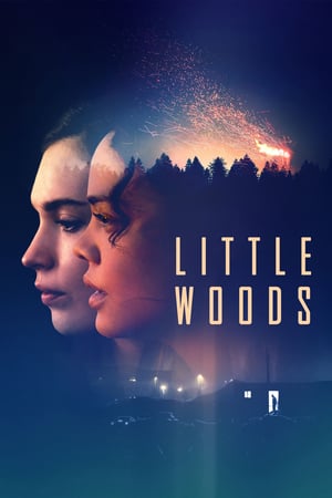 Küçük Orman izle